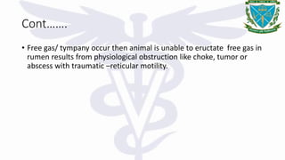 Cont…….
• Free gas/ tympany occur then animal is unable to eructate free gas in
rumen results from physiological obstruction like choke, tumor or
abscess with traumatic –reticular motility.
 