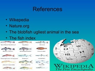 Blobfish, Marine Wiki