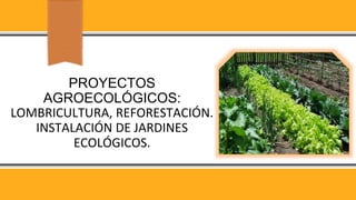 PROYECTOS
AGROECOLÓGICOS:
LOMBRICULTURA, REFORESTACIÓN.
INSTALACIÓN DE JARDINES
ECOLÓGICOS.
 