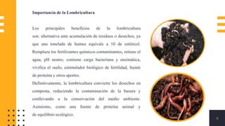 4
Importancia de la Lombricultura
Los principales beneficios de la lombricultura
son: alternativa ante acumulación de residuos o desechos, ya
que una tonelada de humus equivale a 10 de estiércol.
Remplaza los fertilizantes químicos contaminantes, retiene el
agua, pH neutro, contiene carga bacteriana y enzimática,
vivifica el suelo, estimulador biológico de fertilidad, fuente
de proteína y otros aportes.
Definitivamente, la lombricultura convierte los desechos en
composta, reduciendo la contaminación de la basura y
conllevando a la conservación del medio ambiente.
Asimismo, como una fuente de proteína animal y
de equilibrio ecológico.
 