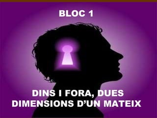 BLOC 1 DINS I FORA, DUES DIMENSIONS  D’UN  MATEIX 