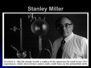 Stanley Miller 