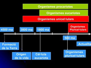 Formació  de la Terra 4500 ma Actualitat 3800 ma Origen  de la vida 1800 ma Cèl·lula  eucariota 580 ma Organismes  pluricel·lulars Organismes procariotes Organismes eucariotes  Organismes  Pluricel·lulars Organismes unicel·lulars 