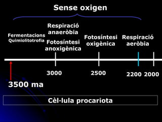 3500 ma 3000 2500 2000 Sense oxigen Cèl·lula procariota Respiració anaeròbia Fotosíntesi anoxigènica Fotosíntesi oxigènica Respiració aeròbia 2200 Fermentacions  Quimiolitotrofia 
