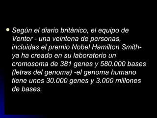 Según el diario británico, el equipo de Venter - una veintena de personas, incluidas el premio Nobel Hamilton Smith- ya ha creado en su laboratorio un cromosoma de 381 genes y 580.000 bases (letras del genoma) -el genoma humano tiene unos 30.000 genes y 3.000 millones de bases.   