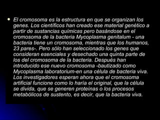 El cromosoma es la estructura en que se organizan los genes. Los científicos han creado ese material genético a partir de sustancias químicas pero basándose en el cromosoma de la bacteria Mycoplasma genitalum - una bacteria tiene un cromosoma, mientras que los humanos, 23 pares-. Pero sólo han seleccionado los genes que consideran esenciales y desechado una quinta parte de los del cromosoma de la bacteria. Después han introducido ese nuevo cromosoma -bautizado como Mycoplasma laboratorium-en una célula de bacteria viva. Los investigadores esperan ahora que el cromosoma artificial funcione como lo haría el original, que la célula se divida, que se generen proteínas o los procesos metabólicos de sustento, es decir, que la bacteria viva.   