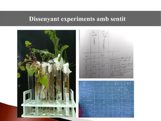 Dissenyant experiments amb sentit
 