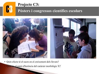 Projecte C3:
Pósters i congressos científics escolars
 Quin efecte té el sucre en el creixement dels llevats?
 Quin és el patró d'herència del caràcter morfológic X?
 