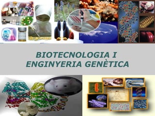 BIOTECNOLOGIA I  ENGINYERIA GENÈTICA 