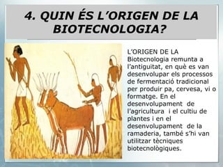 L’ORIGEN DE LA Biotecnologia remunta a l’antiguitat, en què es van desenvolupar els processos de fermentació tradicional per produir pa, cervesa, vi o formatge. En el desenvolupament  de l’agricultura  i el cultiu de plantes i en el desenvolupament  de la ramaderia, també s’hi van utilitzar tècniques biotecnològiques. 4. QUIN ÉS L’ORIGEN DE LA BIOTECNOLOGIA?  