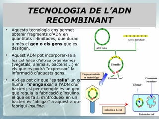 Aquesta tecnologia ens permet obtenir fragments d’ADN en quantitats il·limitades, que duran  a més el  gen o els gens  que es desitgen. Aquest ADN pot incorporar-se a  les cèl·lules d’altres organismes (vegetals, animals, bacteris...) en els que es podrà "expressar" la informació d’aquests gens. Així es pot dir que “es  talla " un gen humà i “ s’enganxa ” a l’ADN d’un bacteri; si per exemple és un gen que regula la fabricació d’insulina, el que es fa si s’introdueix en un bacteri és "obligar" a aquest a que fabriqui  insulina .  TECNOLOGIA DE L’ADN RECOMBINANT 