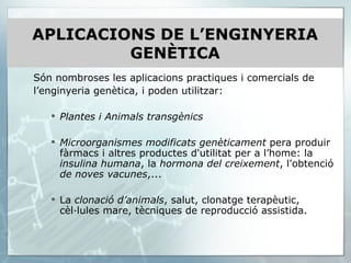 APLICACIONS DE L’ENGINYERIA GENÈTICA Són nombroses les aplicacions practiques i comercials de l’enginyeria genètica, i poden utilitzar: Plantes i Animals transgènics Microorganismes modificats genèticament  pera produir fàrmacs i altres productes d'utilitat per a l’home: la  insulina humana , la  hormona del creixement , l'obtenció  de noves vacunes ,... La  clonació d’animals , salut, clonatge terapèutic, cèl·lules mare, tècniques de reproducció assistida. 