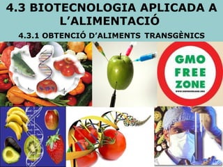 4.3 BIOTECNOLOGIA APLICADA A L’ALIMENTACIÓ  4.3.1 OBTENCIÓ D’ALIMENTS   TRANSGÈNICS 