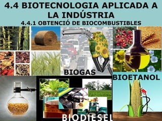 4.4 BIOTECNOLOGIA APLICADA A LA INDÚSTRIA 4.4.1 OBTENCIÓ DE BIOCOMBUSTIBLES BIOGAS BIOETANOL 