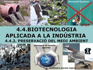 4.4.BIOTECNOLOGIA APLICADA A LA INDÚSTRIA  4.4.2. PRESERVACIÓ DEL MEDI AMBIENT STOP Tractament d’aigües residuals Eliminació de petroli Combatre marees negres Eliminació de metalls pesants 