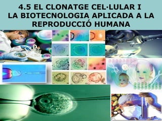 4.5 EL CLONATGE CEL·LULAR I  LA BIOTECNOLOGIA APLICADA A LA REPRODUCCIÓ HUMANA 