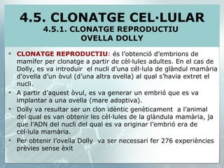 CLONATGE REPRODUCTIU :  és l’obtenció d’embrions de mamífer per clonatge a partir de cèl·lules adultes. En el cas de Dolly, es va introduir  el nucli d’una cél·lula de glàndul mamària d’ovella d’un òvul (d’una altra ovella) al qual s’havia extret el nucli. A partir d’aquest òvul, es va generar un embrió que es va implantar a una ovella (mare adoptiva). Dolly va resultar ser un clon idèntic genèticament  a l’animal del qual es van obtenir les cèl·lules de la glàndula mamària, ja que l’ADN del nucli del qual es va originar l’embrió era de cèl·lula mamària. Per obtenir l’ovella Dolly  va ser necessari fer 276 experiències prèvies sense èxit 4.5. CLONATGE CEL·LULAR 4.5.1. CLONATGE REPRODUCTIU  OVELLA DOLLY 