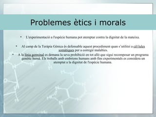 Problemes ètics i morals L'experimentació a l'espècie humana pot atemptar contra la dignitat de la mateixa.  Al camp de la Teràpia Gènica és defensable aquest procediment quan s’utilitzi a  cèl·lules somàtiques  per a corregir malalties. A la  línia germinal  es demana la seva prohibició en tot allò que sigui recomposar un programa genètic humà. Els treballs amb embrions humans amb fins experimentals es considera un atemptat a la dignitat de l'espècie humana.  