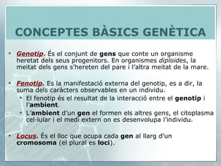 Genotip .  És el conjunt de  gens  que conte un organisme heretat dels seus progenitors. En organismes  diploides , la meitat dels gens s'hereten del pare i l’altra meitat de la mare. Fenotip .  Es la manifestació externa del genotip, es a dir, la suma dels caràcters observables en un individu. El fenotip és el resultat de la interacció entre el  genotip  i l’ ambient . L’ ambient  d’un  gen  el formen els altres gens, el citoplasma cel·lular i el medi extern on es desenvolupa l’individu.  Locus .  És el lloc que ocupa cada  gen  al llarg d’un  cromosoma  (el plural es  loci ).  CONCEPTES BÀSICS GENÈTICA 