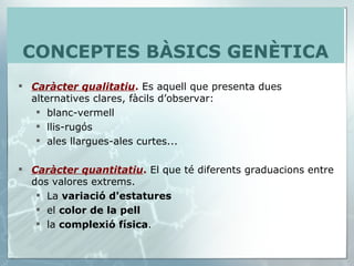 Caràcter qualitatiu .  Es aquell que presenta dues alternatives clares, fàcils d’observar:  blanc-vermell llis-rugós ales llargues-ales curtes...  Caràcter quantitatiu .  El que té diferents graduacions entre dos valores extrems.  La  variació d'estatures el  color de la pell la  complexió física .  CONCEPTES BÀSICS GENÈTICA 