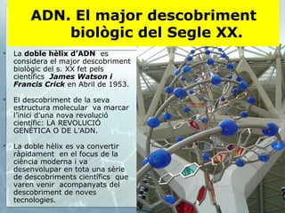 La  doble hèlix d’ADN   es considera el major descobriment  biològic del s. XX fet pels científics  James Watson i Francis Crick  en Abril de 1953. El descobriment de la seva estructura molecular  va marcar l’inici d’una nova revolució científic: LA REVOLUCIÓ GENÈTICA O DE L’ADN. La doble hèlix es va convertir ràpidament  en el focus de la ciència moderna i va desenvolupar en tota una sèrie de descobriments científics  que varen venir  acompanyats del descobriment de noves tecnologies. ADN. El major descobriment biològic del Segle XX. 