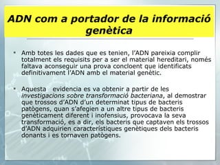 Amb totes les dades que es tenien, l’ADN pareixia complir totalment els requisits per a ser el material hereditari, només faltava aconseguir una prova concloent que identificats definitivament l’ADN amb el material genètic.  Aquesta  evidencia es va obtenir a partir de les  investigacions sobre transformació bacteriana , al demostrar que trossos d’ADN d’un determinat tipus de bacteris patògens, quan s’afegien a un altre tipus de bacteris genèticament diferent i inofensius, provocava la seva transformació, es a dir, els bacteris que captaven els trossos d’ADN adquirien característiques genètiques dels bacteris donants i es tornaven patògens. ADN com a portador de la informació genètica 