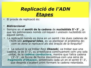 El procés de replicació és: Bidireccional   Sempre en el  sentit de la cadena  de  nucleòtids 5’–3’  , ja que les polimerases només col·loquen i uneixen nucleòtids en aquest sentit. La replicació només es dona en un sentit i les dues cadenes de l’ADN són  antiparal·leles , es va plantejar el problema de:  com es dona la replicació als dos braços de la forquilla?  La solució la va trobar  Reiji  Okazaki , va trobar que una cadena, la de 5’–3’, es sintetitzava contínuament com una sola unitat, és la  cadena conductora , mentre que l’altra cadena (3’–5’ , es forma de forma discontínua com una sèrie de  fragments d’Okazaki , sintetitzats cada un en el sentit 5’–3’, que després s’acaben unint formant la cadena retardada. Replicació de l’ADN Etapes   