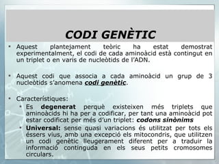 Aquest plantejament teòric ha estat demostrat experimentalment, el codi de cada aminoàcid està contingut en un triplet o en varis de nucleòtids de l’ADN.  Aquest codi que associa a cada aminoàcid un grup de 3 nucleòtids s’anomena  codi genètic .  Característiques: Es  degenerat  perquè existeixen més triplets que aminoàcids hi ha per a codificar, per tant una aminoàcid pot estar codificat per més d’un triplet:  codons sinònims Universal:  sense quasi variacions és utilitzat per tots els éssers vius, amb una excepció els mitocondris, que utilitzen un codi genètic lleugerament diferent per a traduir la informació continguda en els seus petits cromosomes circulars. CODI GENÈTIC 