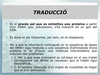 TRADUCCIÓ És el  procés pel que es sintetitza una proteïna  a partir d’un ARNm que, prèviament, s’ha transcrit en un gen del ADN. Es dona en els ribosomes, per tant, en el citoplasma. Per a que la informació continguda en la seqüència de bases del ARNm sigui traduïda a una seqüència d'aminoàcids d’una proteïna hi ha d’haver una molècula intermediària que solucioni dos problemes: 1. Per a que cada aminoàcid es col·loqui en el seu triplet corresponent del ARNm es necessari que el triplet sigui descodificat,  2. El tamany molecular d’un triplet de nucleòtids és major que el d’un aminoàcid. 