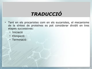 Tant en els procariotes com en els eucariotes, el mecanisme de la síntesi de proteïnes es pot considerar dividit en tres etapes successives: Iniciació Elongació  Terminació TRADUCCIÓ 