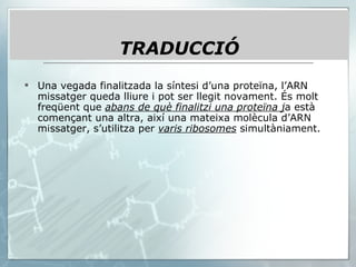 Una vegada finalitzada la síntesi d’una proteïna, l’ARN missatger queda lliure i pot ser llegit novament. És molt freqüent que  abans de què finalitzi una proteïna j a està començant una altra, així una mateixa molècula d’ARN missatger, s’utilitza per  varis ribosomes  simultàniament.  TRADUCCIÓ 