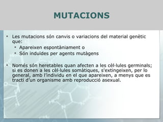 MUTACIONS Les mutacions són canvis o variacions del material genètic que: Apareixen espontàniament o Són induïdes per agents mutàgens Només són heretables quan afecten a les cèl·lules germinals; si es donen a les cèl·lules somàtiques, s'extingeixen, per lo general, amb l’individu en el que apareixen, a menys que es tracti d’un organisme amb reproducció asexual. 