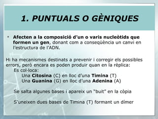 Afecten a la composició d’un o varis   nucleòtids que formen un gen , donant com a conseqüència un canvi en l’estructura de l’ADN. 1. PUNTUALS O GÈNIQUES Hi ha mecanismes destinats a prevenir i corregir els possibles errors, però encara es poden produir quan en la rèplica: Es col·loca: Una  Citosina  (C) en lloc d’una  Timina  (T) Una  Guanina  (G) en lloc d’una  Adenina  (A) Se salta algunes bases i apareix un “buit” en la còpia S’uneixen dues bases de Timina (T) formant un dímer 