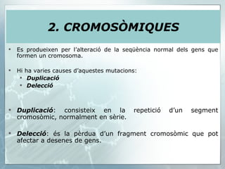 2. CROMOSÒMIQUES Es produeixen per l’alteració de la seqüència normal dels gens que formen un cromosoma.  Hi ha varies causes d’aquestes mutacions: Duplicació Delecció Duplicació : consisteix en la repetició d’un segment cromosòmic, normalment en sèrie. Delecció : és la pèrdua d’un fragment cromosòmic que pot afectar a desenes de gens. 