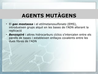 El  gas mostassa  i el  etilmetanosulfonato  (EMS),  introdueixen grups alquil en les bases de l’ADN alterant la replicació Benzopiré  i altres hidrocarburs cíclics s’intercalen entre els parells de bases i estableixen enllaços covalents entre les dues fibres de l’ADN   AGENTS MUTÀGENS 