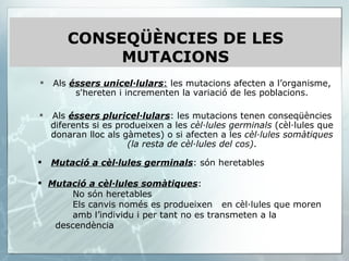 Als  éssers unicel·lulars :  les mutacions afecten a l’organisme, s'hereten i incrementen la variació de les poblacions. Als  éssers pluricel·lulars : les mutacions tenen conseqüències diferents si es produeixen a les  cèl·lules germinals  (cèl·lules que donaran lloc als gàmetes) o si afecten a les  cèl·lules somàtiques (la resta de cèl·lules del cos) . CONSEQÜÈNCIES DE LES MUTACIONS Mutació a cèl·lules germinals : són heretables Mutació a cèl·lules somàtiques : No són heretables Els canvis només es produeixen  en cèl·lules que moren  amb l’individu i per tant no es transmeten a la  descendència 