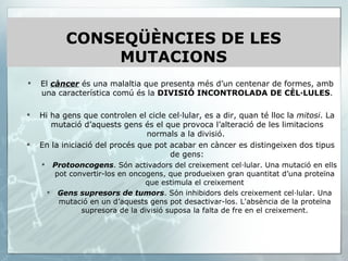 El  càncer  és una malaltia que presenta més d’un centenar de formes, amb una característica comú és la  DIVISIÓ INCONTROLADA DE CÈL·LULES . Hi ha gens que controlen el cicle cel·lular, es a dir, quan té lloc la  mitosi . La mutació d’aquests gens és el que provoca l’alteració de les limitacions normals a la divisió.  En la iniciació del procés que pot acabar en càncer es distingeixen dos tipus de gens: Protooncogens . Són activadors del creixement cel·lular. Una mutació en ells pot convertir-los en oncogens, que produeixen gran quantitat d’una proteïna que estimula el creixement Gens supresors de tumors . Són inhibidors dels creixement cel·lular. Una mutació en un d’aquests gens pot desactivar-los. L'absència de la proteïna supresora de la divisió suposa la falta de fre en el creixement. CONSEQÜÈNCIES DE LES MUTACIONS 