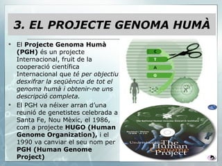 El  Projecte Genoma Humà (PGH)  és un projecte Internacional, fruit de la cooperació científica Internacional que  té per objectiu desxifrar la seqüència de tot el genoma humà i obtenir-ne uns descripció completa. El PGH va néixer arran d’una reunió de genetistes celebrada a Santa Fe, Nou Mèxic, el 1986, com a projecte  HUGO (Human Genome Organization),  i el 1990 va canviar el seu nom per  PGH (Human Genome Project) 3. EL PROJECTE GENOMA HUMÀ 