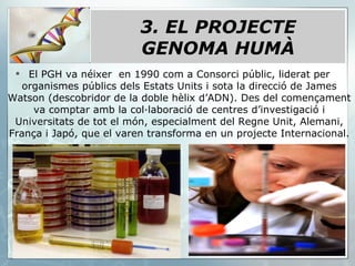 El PGH va néixer  en 1990 com a Consorci públic, liderat per organismes públics dels Estats Units i sota la direcció de James Watson (descobridor de la doble hèlix d’ADN). Des del començament va comptar amb la col·laboració de centres d’investigació i Universitats de tot el món, especialment del Regne Unit, Alemani, França i Japó, que el varen transforma en un projecte Internacional. 3. EL PROJECTE GENOMA HUMÀ 