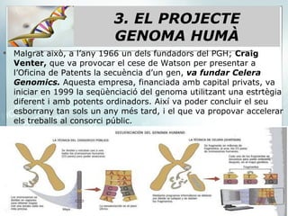 Malgrat això, a l’any 1966 un dels fundadors del PGH;  Craig Venter,  que va provocar el cese de Watson per presentar a l’Oficina de Patents la secuència d’un gen,  va fundar Celera Genomics.  Aquesta empresa, financiada amb capital privats, va iniciar en 1999 la seqüènciació del genoma utilitzant una estrtègia diferent i amb potents ordinadors. Així va poder concluir el seu esborrany   tan sols un any més tard, i el que va propovar accelerar els treballs al consorci públic. 3. EL PROJECTE GENOMA HUMÀ 