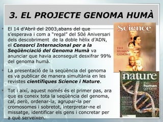El 14 d’Abril del 2003,abans del que s’esperava i com a “regal” del 50é Aniversari  dels descobriment  de la doble hèlix d’ADN, el  Consorci Internacional per a la Seqüènciació del Genoma Humà  va anunciar que havia aconseguit desxifrar 99% del genoma humà. La presentació de la seqüència del genoma es va publicar de manera simultània en les revistes  científiques Science i Nature . Tot i així, aquest només és el primer pas, ara que es coneix tota la seqüència del genoma, cal, però, ordenar-la, agrupar-la per cromosomes i sobretot, interpretar-ne el missatge, identificar els gens i concretar per a què serveixen. 3. EL PROJECTE GENOMA HUMÀ 