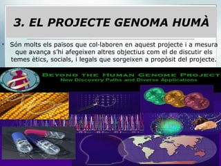 Són molts els països que col·laboren en aquest projecte i a mesura que avança s’hi afegeixen altres objectius com el de discutir els temes ètics, socials, i legals que sorgeixen a propòsit del projecte. 3. EL PROJECTE GENOMA HUMÀ 