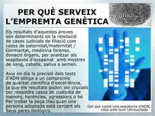 PER QUÈ SERVEIX L’EMPREMTA GENÈTICA Els resultats d’aquestes proves  són determinants en la resolució de casos judicials de filiació com casos de paternitat/maternitat / Germantat, medicina forense,  donació òrgans, per analitzar als  sospitosos d’assasinat  amb mostres de sang, cabells, saliva o semen. Avui en día la precisió dels tests d’ADN obliga a un compromís de qualitat científica d’excel·lència, ja que els resultats poden ser crucials  per ressoldre casos de custodia de  menors, herències, agressions o bé  Per trobar la peça clau   quan una persona adoptada està cercant els  Seus pares biològics. Gel que conté una seqüència d’ADN, vista amb llum Ultraviolada 