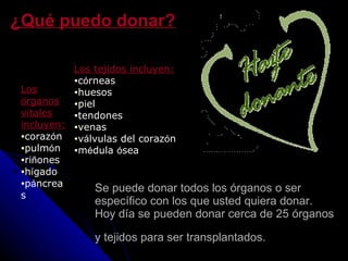 Se puede donar todos los órganos o ser específico con los que usted quiera donar. Hoy día se pueden donar cerca de 25 órganos y tejidos para ser transplantados.   ¿Qué puedo donar? Los  ó rganos vitales incluyen : coraz ó n  pulm ó n  ri ñ ones  h í gado  p á ncreas    Los tejidos incluyen:   c ó rneas  huesos  piel  tendones  venas  v á lvulas del coraz ó n  m é dula  ó sea  