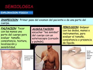 SEMIOLOGIA EXPLORACION FISICA INSPECCION   Primer paso del examen del paciente o de una parte del cuerpo.   PALPACION   Tocar con las manos una parte del cuerpo para evaluar  tamaño, consistencia, textura, localización y sensibilidad. AUSCULTACION escuchar "los sonidos" del cuerpo con un estetoscopio (corazón y pulmón).  PERCUSION   Golpear con los dedos, manos o  instrumentos, para evaluar el tamaño, consistencia o presencia de líquido. 