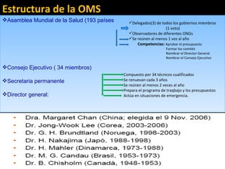 Estructura de la OMS Asamblea Mundial de la Salud (193 países Consejo Ejecutivo ( 34 miembros) Secretaria permanente Director general: Delegados(3) de todos los gobiernos miembros (1 voto) Observadores de diferentes ONGs Se reúnen al menos 1 vez al año Competencias:  Aprobar el presupuesto Formar los comités Nombrar el Director General Nombrar el Consejo Ejecutivo Compuesto por 34 técnicos cualificados  Se renuevan cada 3 años Se reúnen al menos 2 veces al año Prepara el programa de traqbajo y los presupuestos Actúa en situaciones de emergencia. 