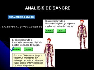 ANALISIS DE SANGRE EXAMEN BIOQUIMICO COLESTEROL Y TRIGLICERIDOS 