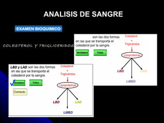 LBD y LAD LBD LMBD LAD ANALISIS DE SANGRE EXAMEN BIOQUIMICO COLESTEROL Y TRIGLICERIDOS 