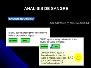 ANALISIS DE SANGRE EXAMEN BIOQUIMICO COLESTEROL Y TRIGLICERIDOS 
