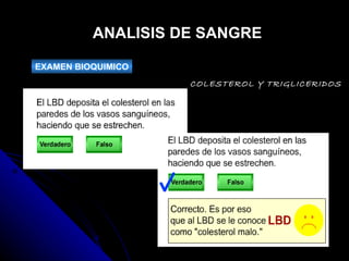 ANALISIS DE SANGRE EXAMEN BIOQUIMICO COLESTEROL Y TRIGLICERIDOS 